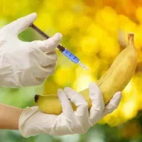 تزریق ژل به آلت مردانه جهت افزایش قطر در تبریز