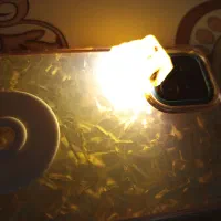 سنگ|جواهرات|کرمان, |دیوار