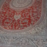 فرش ۶متری|فرش|دورود, |دیوار