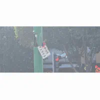 پلاک موتور پیدا شده