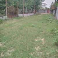 زمین صیفی کاری نستق دار درحوالی شهرستان ماسال