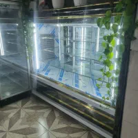 یخچال فروشگاهی، قصابی ، شیرینی فروشی|فروشگاه و مغازه|لنجان, |دیوار