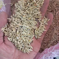 جو حیوانی ۲تن|عمدهفروشی|ویلکیج, |دیوار