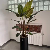 پخش انواع درختچه های مصنوعی و گل آویز