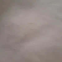 خط رند