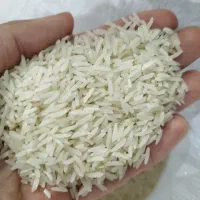 برنج فجر گرگان