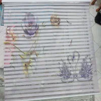 پرده زبرا
