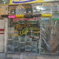 انواع لوازم پرنده