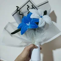 گل های مخملی|صنایع دستی و سایر لوازم تزئینی|شیراز, کوشک میدان|دیوار