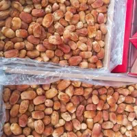 فروش عمده خرمای زاهدی