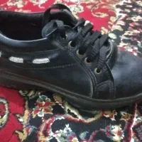 کیف|لباس|زابل, |دیوار