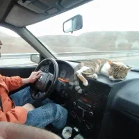 وانت آریسان ۹۸ دوگانه سوز