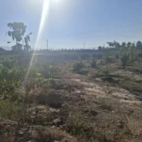 فروش باغ شهری