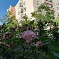 نگهبانی در مجتمع مسکونی