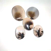 سنگ شجر|زیورآلات و اکسسوری|تهران, هفت حوض|دیوار