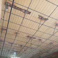 تغییرات و تعمییرات ساختمان