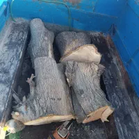 چوب درختان|گل و گیاه طبیعی|بروجرد, |دیوار