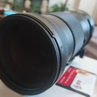 لنز سوپر تله سیگما ۱۵۰ ۶۰۰|دوربین عکاسی و فیلم‌برداری|شیراز, فرهنگ شهر|دیوار