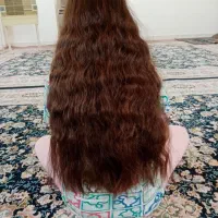 خریدار موی طبیعی با قیمت بالا