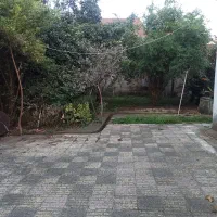 زمین و ملک 446 متری