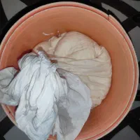 لچ گوسفندی بیابون