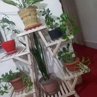 تولیدی استندگل رگال لباس.کافی بار.ویترین چوبی|صنایع دستی و سایر لوازم تزئینی|محمدیه-قزوین, |دیوار