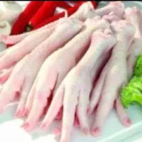 استخدام همکار خانم شرکت (پاورچین)