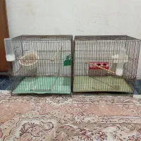 دوعدد قفس اماده