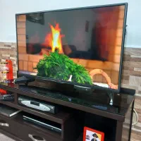 ال ای دی ال جی