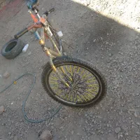 دوچرخه 26اساک|دوچرخه، اسکیت، اسکوتر|پشتکوه (سیستان و بلوچستان), |دیوار