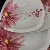 سرویس چینی زرین با فنجان و نلبکی