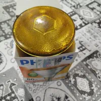 لامپ سنگی اصل مخصوص حیوانات