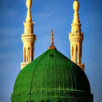 4عدد فیش عمره