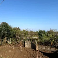 زمین-1150-متری-بافت-زرد-دوکله