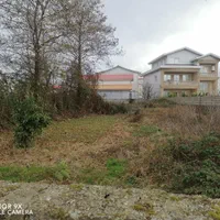 ۵۸۵ مترزمین دونبش ساحلی باسندتک برگ درنوکنده بزرگ|فروش زمین و ملک کلنگی|پرهسر, |دیوار