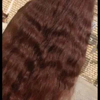 بانک مو خرید و فروش