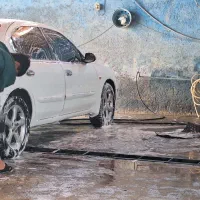 نیروی کار کارواش