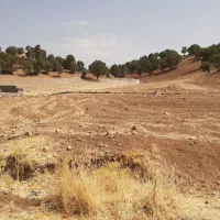 زمین-طرح-هادی-در-بسطام