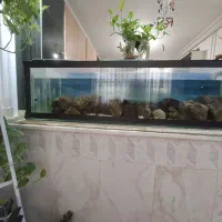 آکواریوم شیشه ای ۱۰ میل سایز بزرگ سالم و تمیز