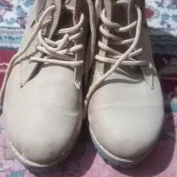 دو جفت کفش مردانه یک جفت زنانه|کیف، کفش، کمربند|تربت‌حیدریه, داروپخش|دیوار