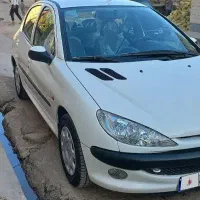 ۲۰۶تیپ۵بی رنگ با لوازم