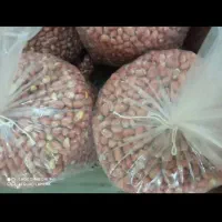 بادام زمینی|خوردنی و آشامیدنی|قرچک, مهدیه|دیوار