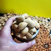 کارگر خانم جهت جداسازی مغز بادام کارگاه بادام