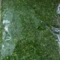 سبزی|خوردنی و آشامیدنی|سراب, |دیوار