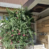 خانه ویلایی ۱۶۴ متری|فروش خانه و ویلا|قم, باغ شازده|دیوار