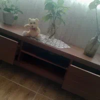 زیر تلوزیونی