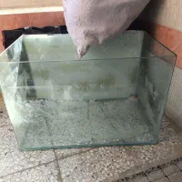 اکواریوم شیشه خم