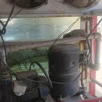 اکواریوم|ماهی|سنندج, |دیوار