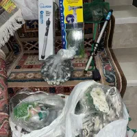 آکواریوم|لوازم جانبی حیوانات|مشگین شهر, |دیوار