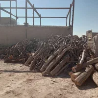 خرید ضایعات چوب